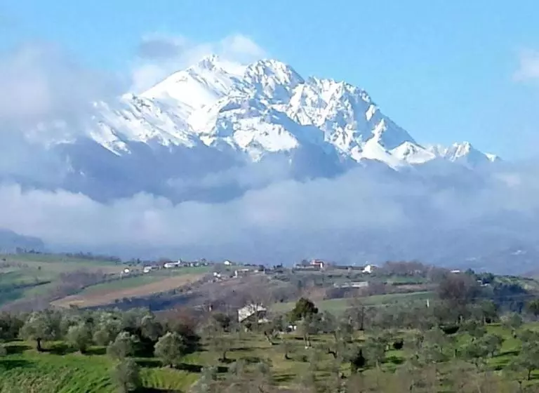 ホテル Agriturismo La Casinarosa