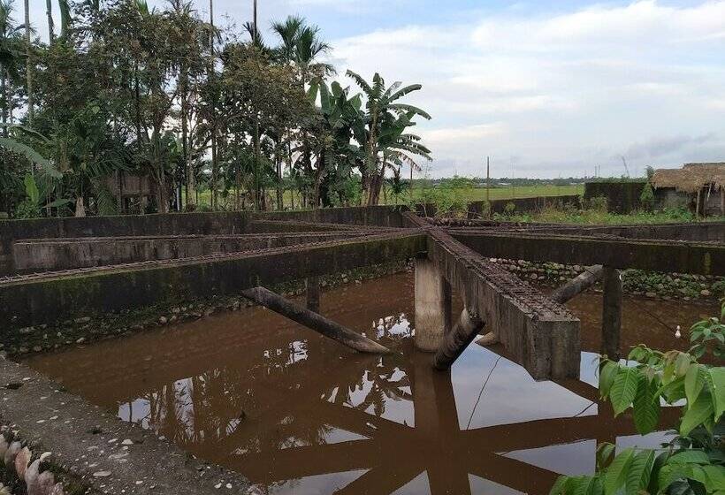 هتل Green Ashiyana Palace