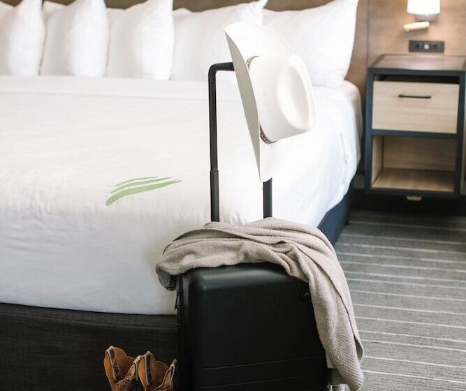 酒店 Windrow Downtown Ellensburg