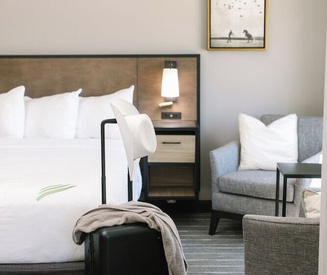 酒店 Windrow Downtown Ellensburg