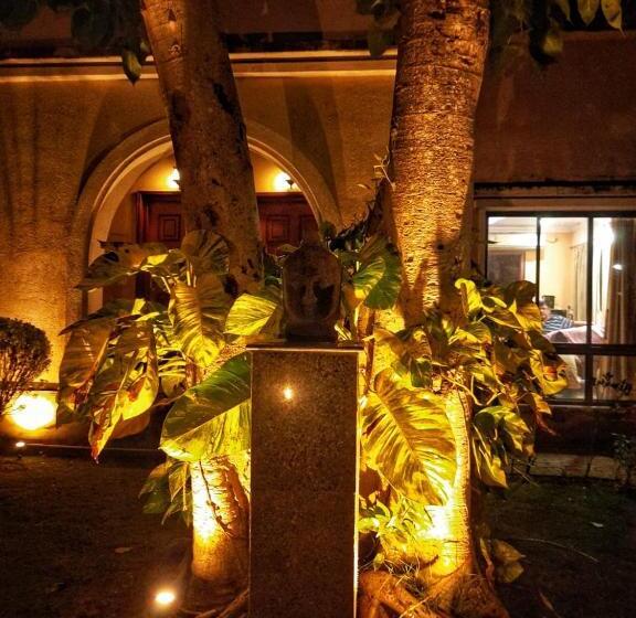 Pensjonat Gardenia 29