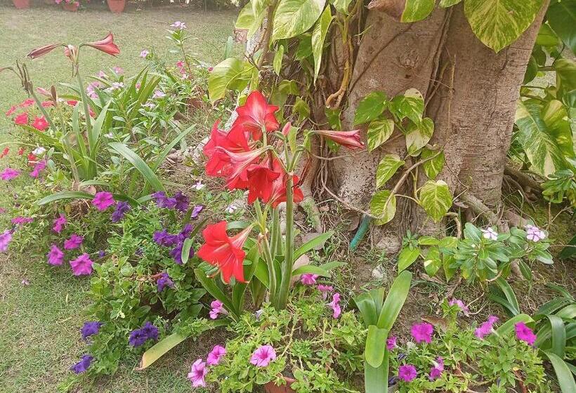 Pensjonat Gardenia 29