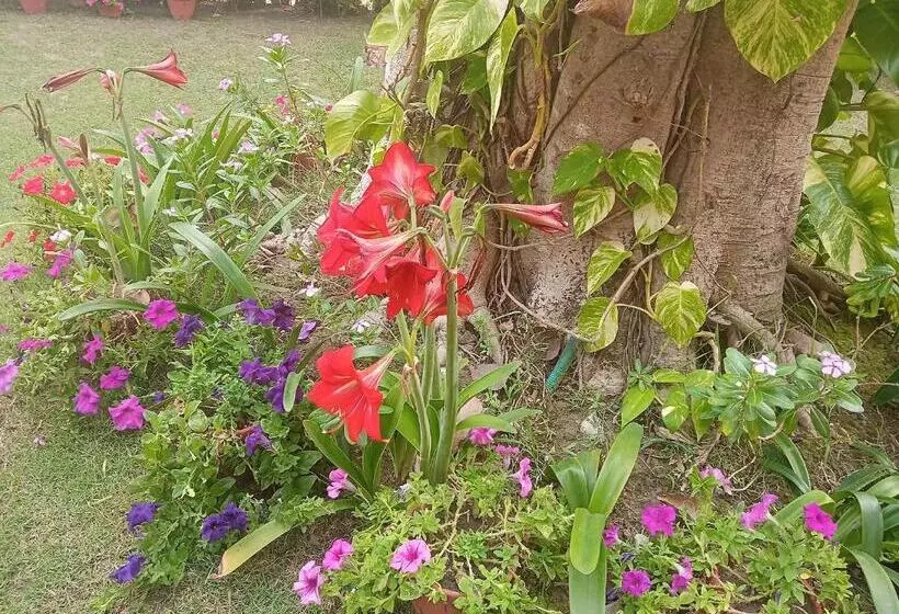 Majatalo Gardenia 29