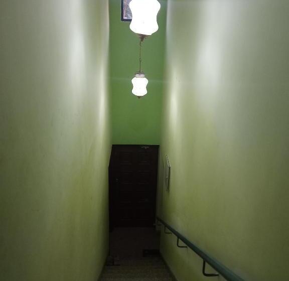 Pensjonat Gardenia 29