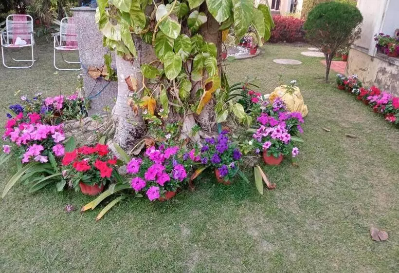 Majatalo Gardenia 29