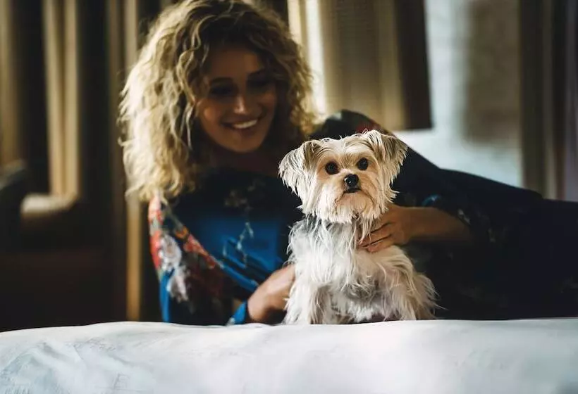 Hotelli The Ben, Autograph Collection