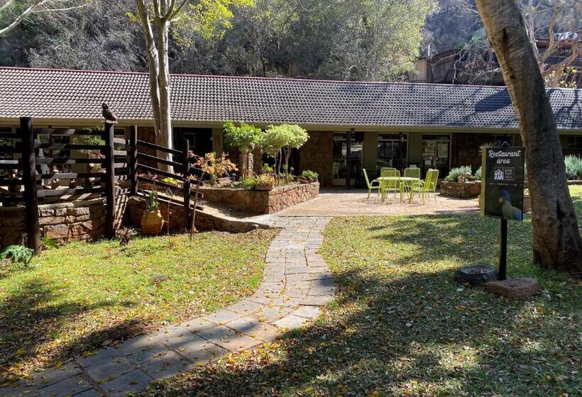 Общежитие Echo Caves