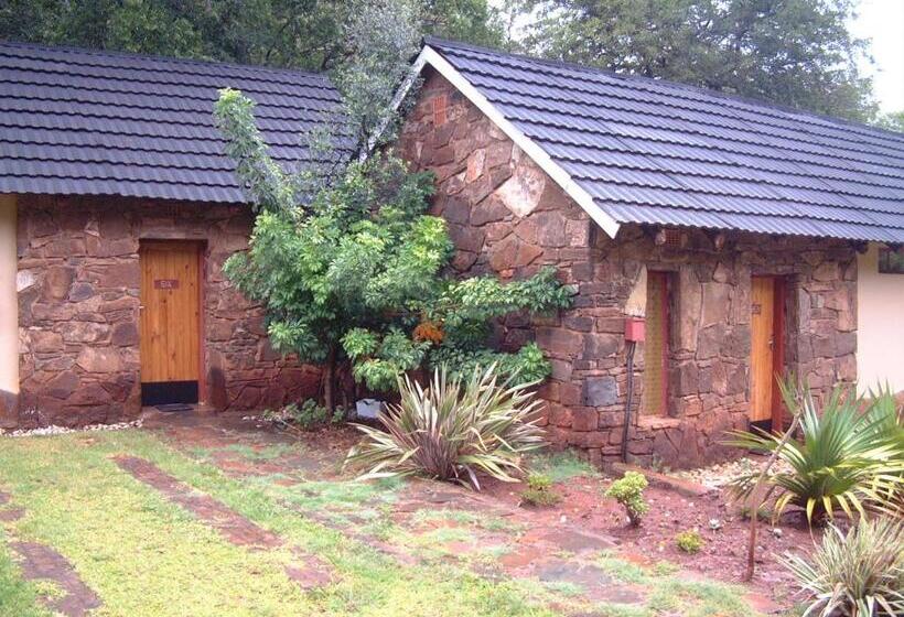 Общежитие Echo Caves