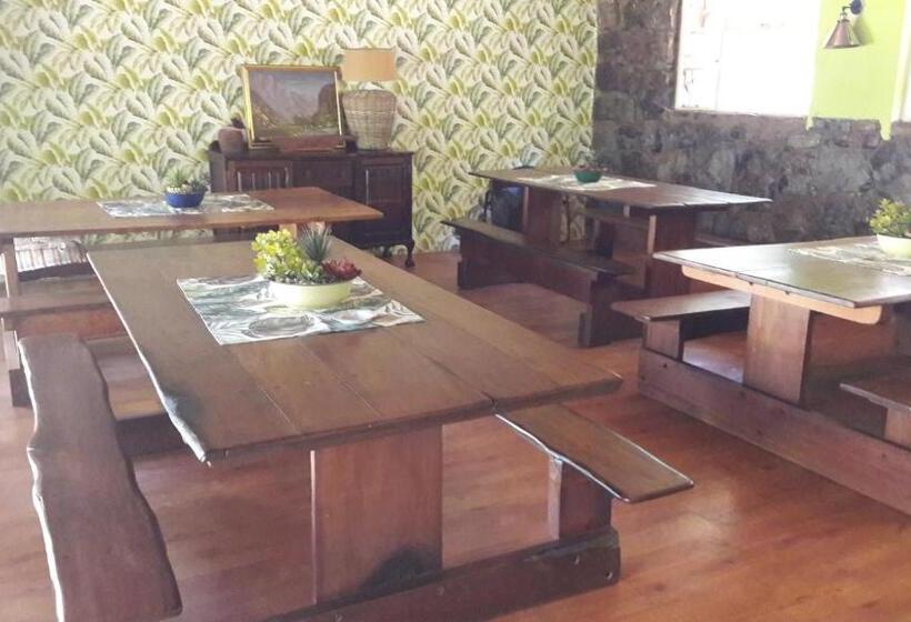 Общежитие Echo Caves