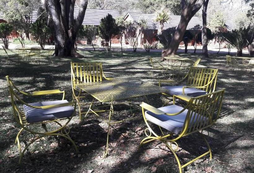 Общежитие Echo Caves