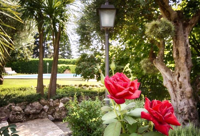 بنسيون El Porxo B&b