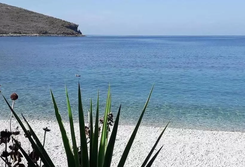 پانسیون Olive Lodge