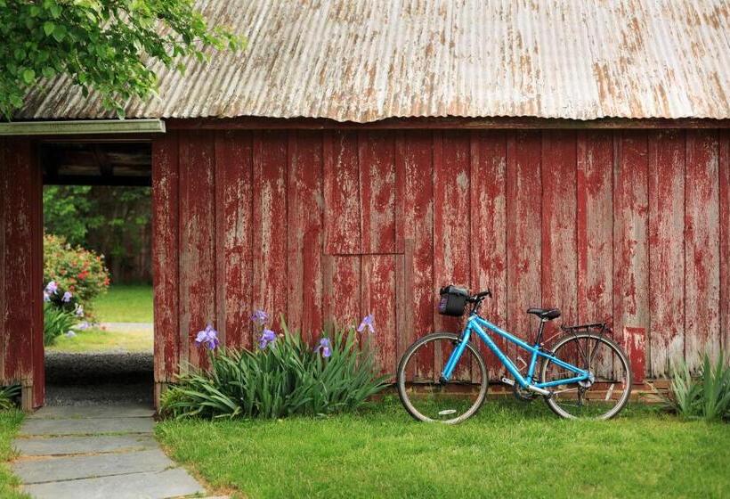 住宿加早餐 Brampton 1860