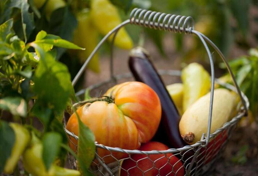 住宿加早餐 Brampton 1860