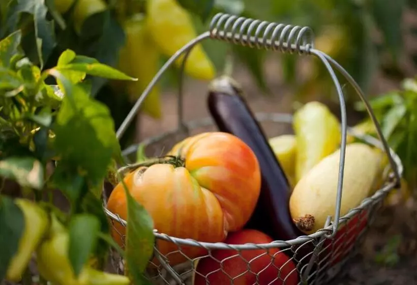 مبيت وإفطار Brampton 1860