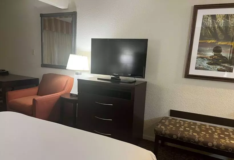 Hotel Baymont By Wyndham Houston/westchase