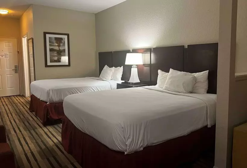 Hotel Baymont By Wyndham Houston/westchase