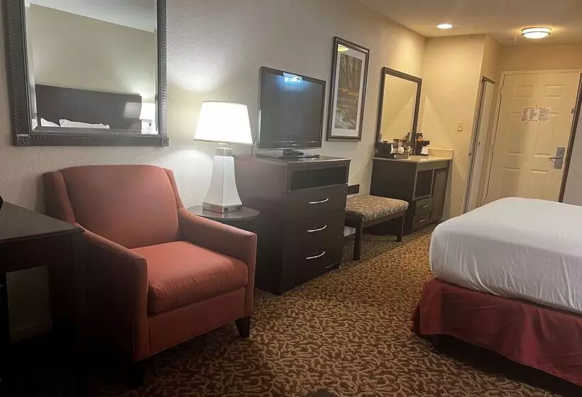 Hotel Baymont By Wyndham Houston/westchase