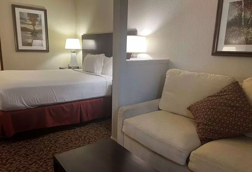 Hotel Baymont By Wyndham Houston/westchase