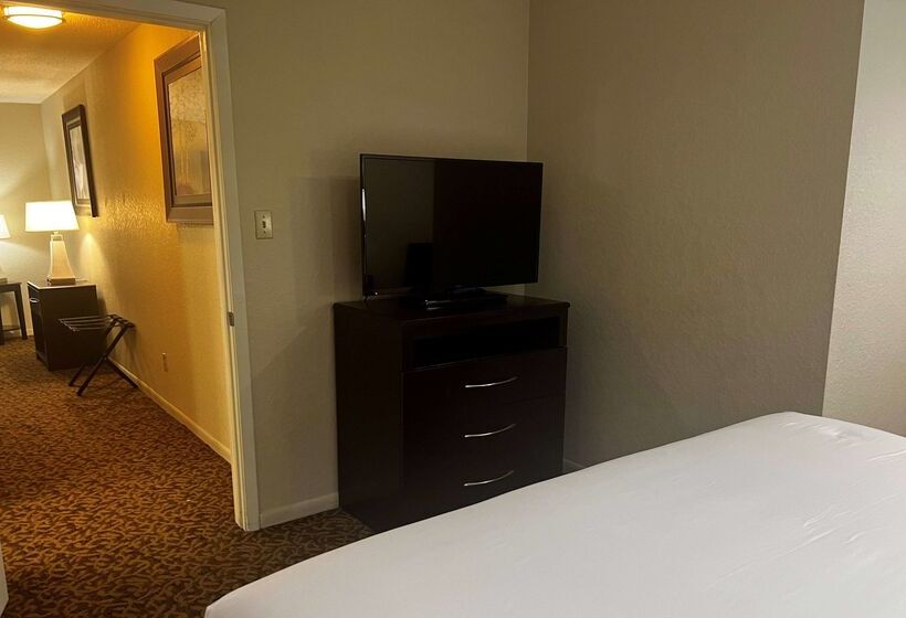 酒店 Baymont By Wyndham Houston/westchase