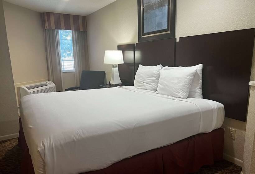 酒店 Baymont By Wyndham Houston/westchase