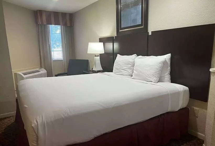 Hotel Baymont By Wyndham Houston/westchase