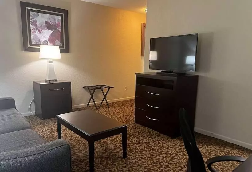 Hotel Baymont By Wyndham Houston/westchase