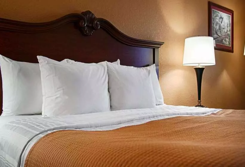 호텔 Baymont By Wyndham Chester Il