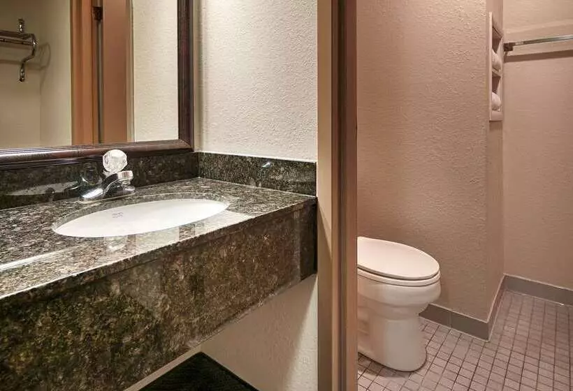 호텔 Baymont By Wyndham Chester Il