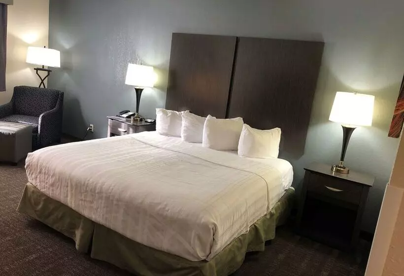 호텔 Baymont By Wyndham Chester Il