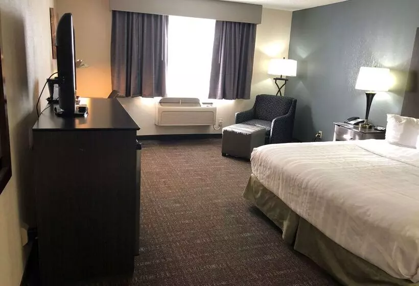 호텔 Baymont By Wyndham Chester Il