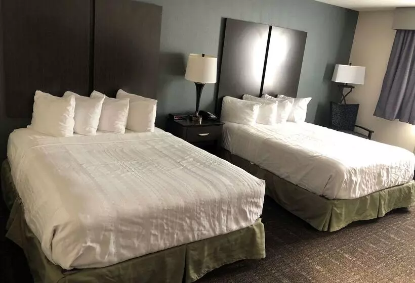 호텔 Baymont By Wyndham Chester Il