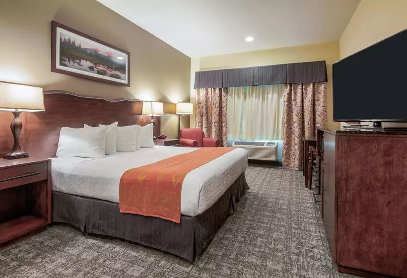 Отель Best Western Rocky Mountain Lodge