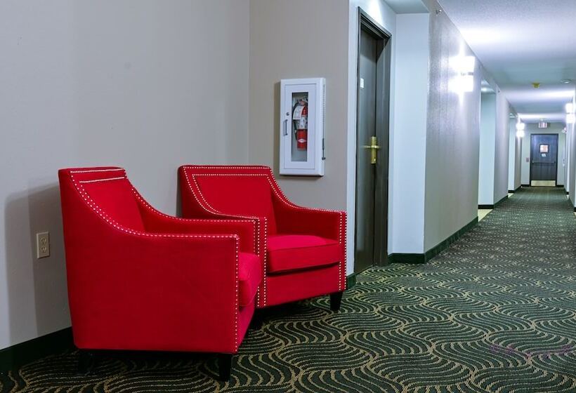 Hotel Super 8 By Wyndham High Point/greensboro