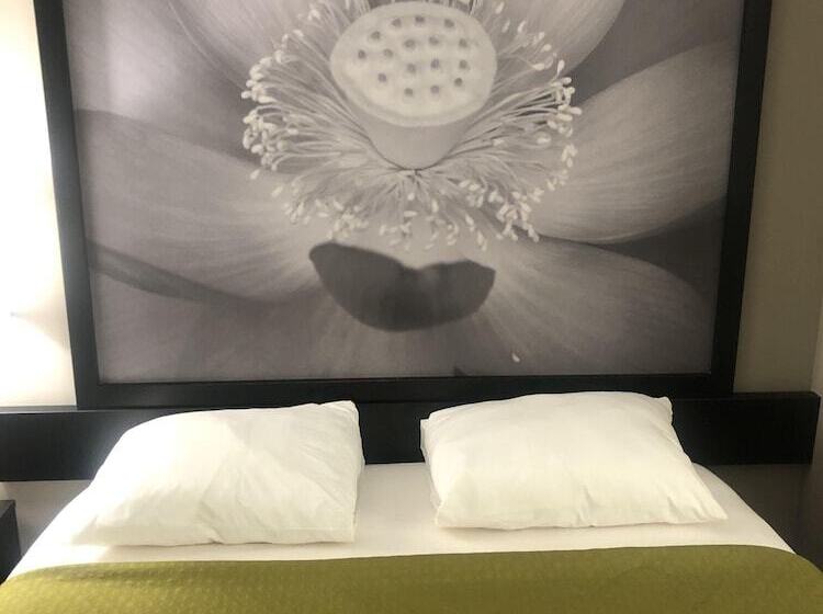 Hotel Super 8 By Wyndham High Point/greensboro