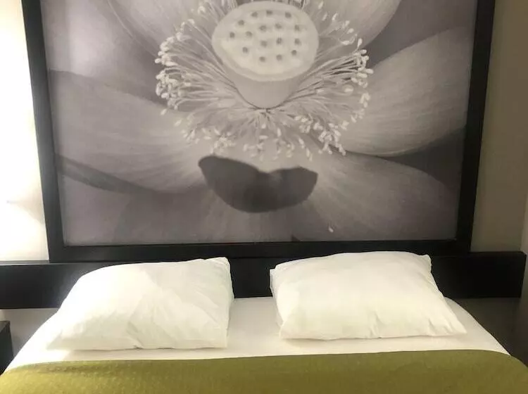 호텔 Super 8 By Wyndham High Point/greensboro