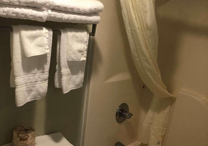 Surestay Plus Hotel By Best Western Poteau