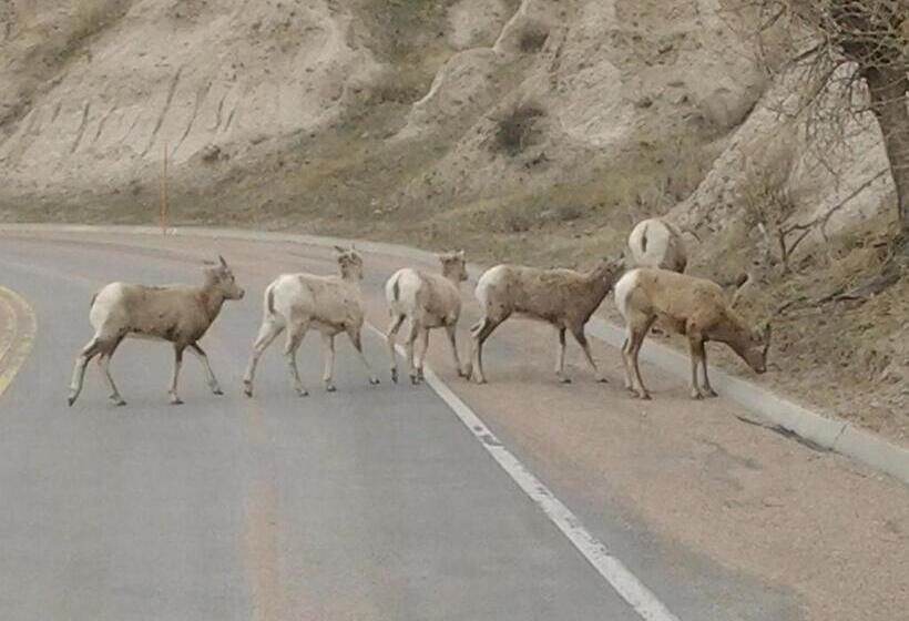 מוטל Badlands Hotel & Campground