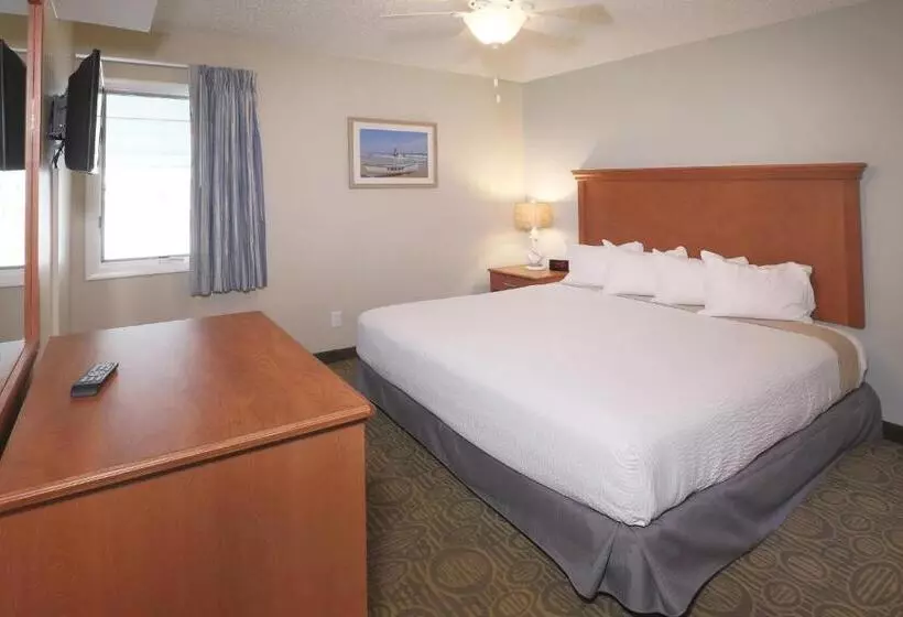 מוטל Biscayne Family Resort