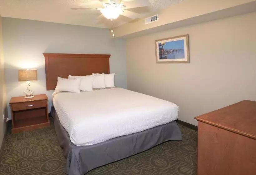 מוטל Biscayne Family Resort