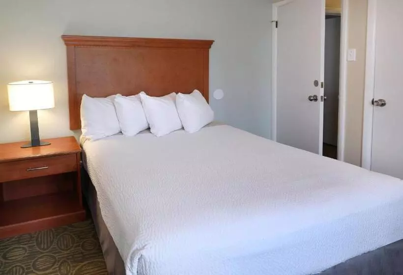 מוטל Biscayne Family Resort