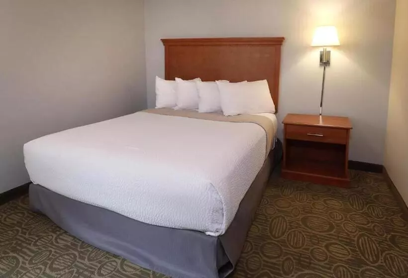 מוטל Biscayne Family Resort