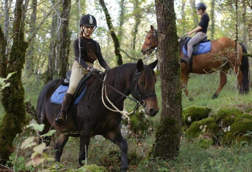 ベッドアンドブレックファースト Mas De Peyrelongue