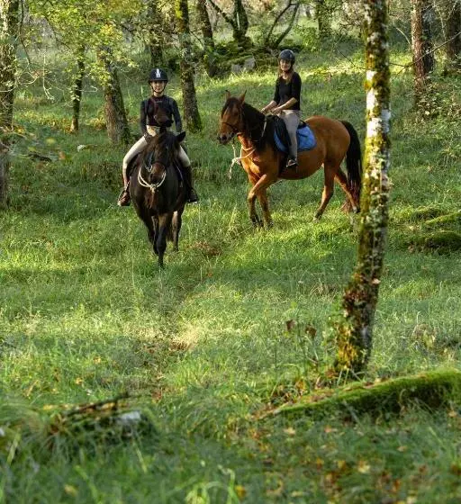 Aamiaismajoitus (B&B) Mas De Peyrelongue