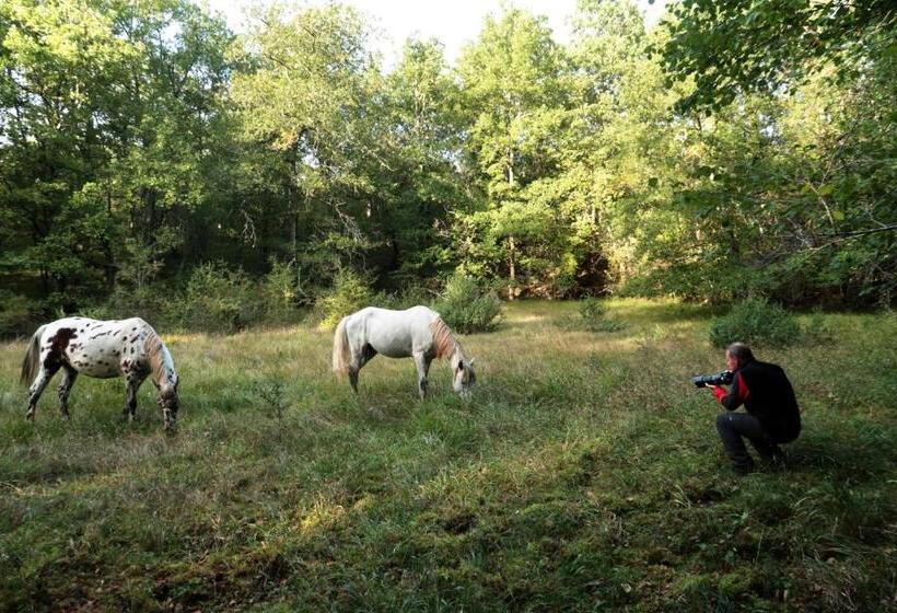 ベッドアンドブレックファースト Mas De Peyrelongue