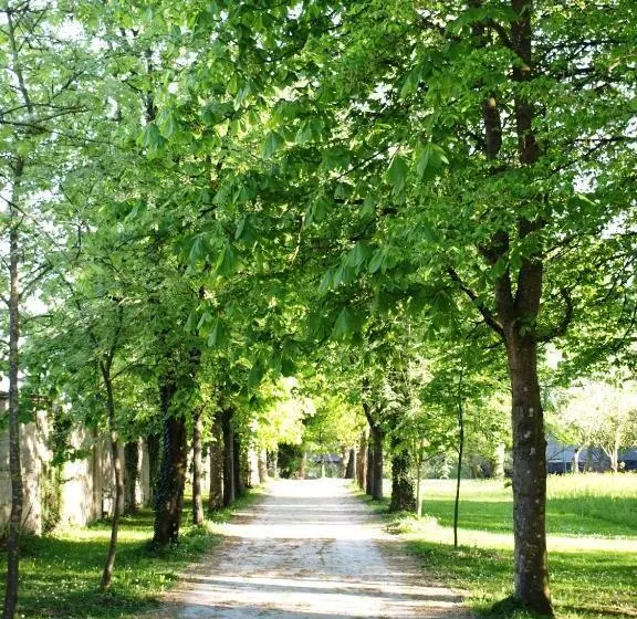 ホテル Schloss Puchberg