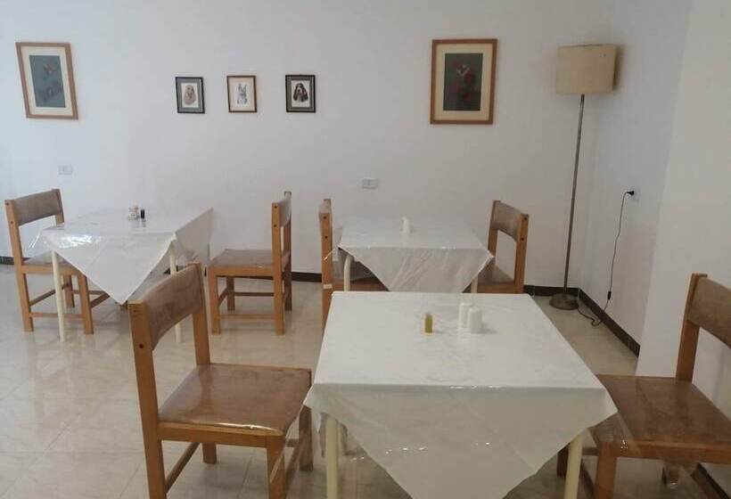 هتل Petra Town Check Inn