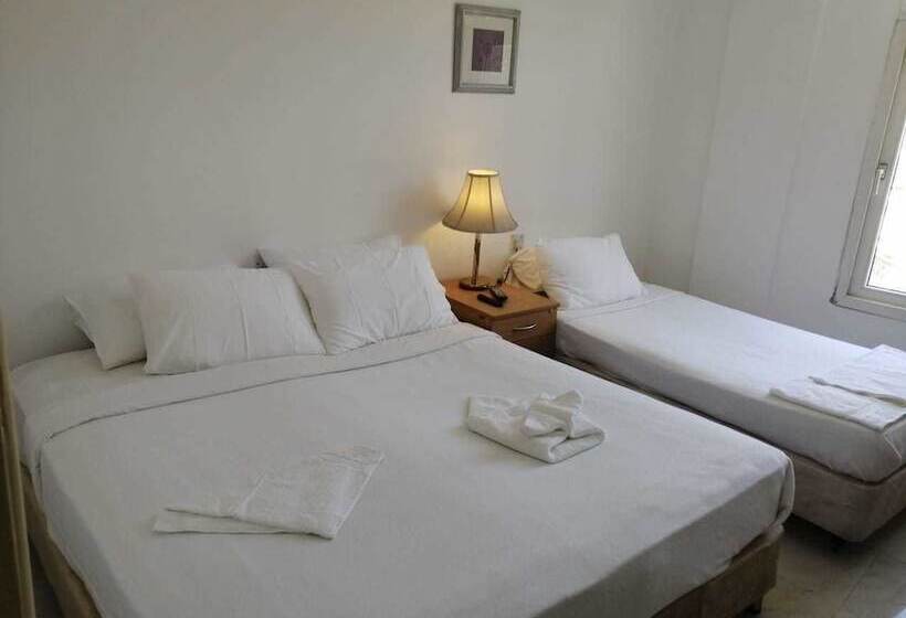 هتل Petra Town Check Inn