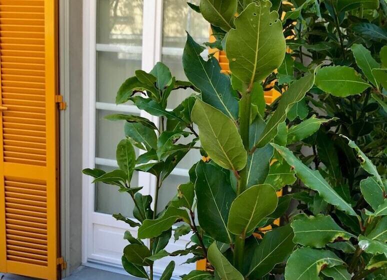 ペンション Liberty Room And Breakfast