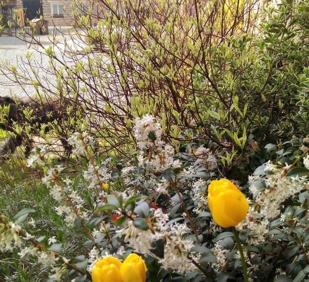 Bed and Breakfast La Ferme De La Papote